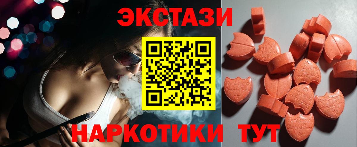APVP Кострома