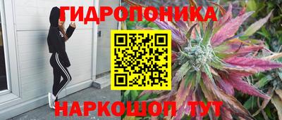 ECSTASY Волжск
