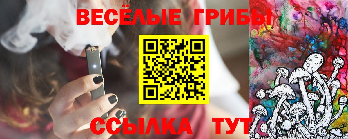 Кострома  Галлюциногенные грибы Psilocybe  Вход с VPN 